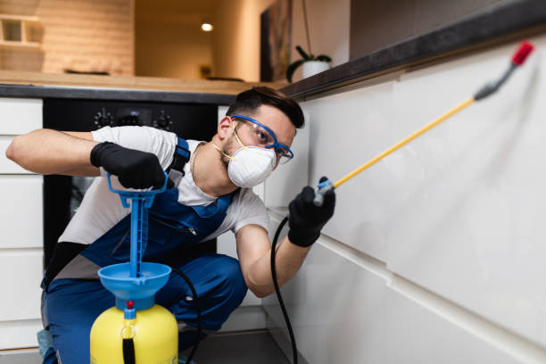 Best Pest Control Near Me  in Stanton, MI
