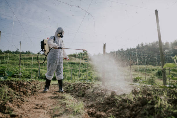 Best Commercial Pest Control Services  in Stanton, MI