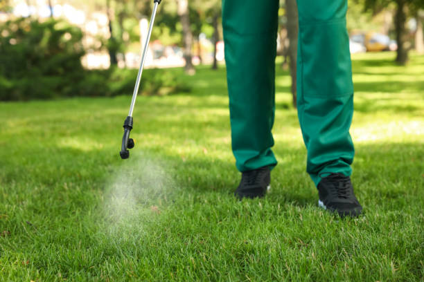 Best Best Pest Control Companies  in Stanton, MI