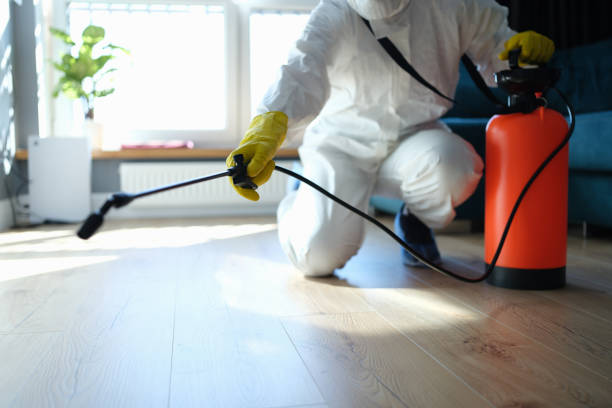 Best Affordable Exterminators  in Stanton, MI