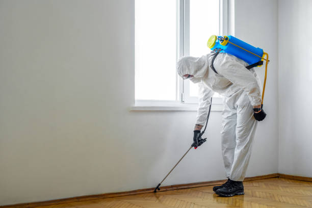 Best Termite Control Services  in Stanton, MI