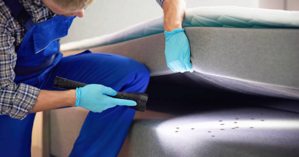Pest Control Cost in Stanton, MI