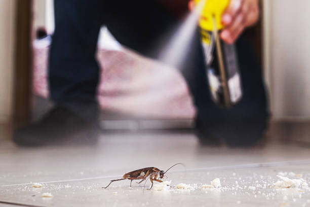 Flea Control Services in Stanton, MI