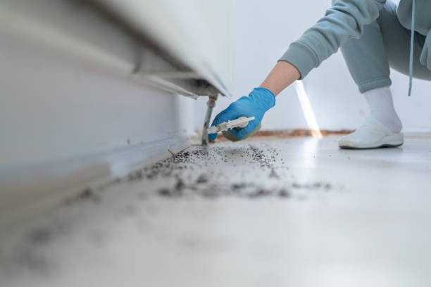 Best Pest Control Cost  in Stanton, MI